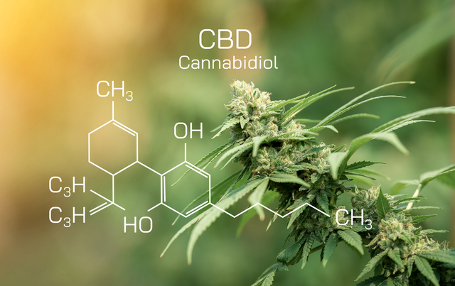 CBD personnalisable chez Le Grossiste du CBD