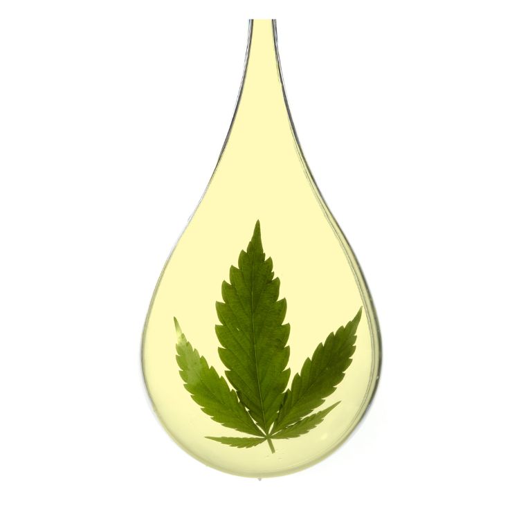 L'huile de CBD bio chez Le Grossiste du CBD